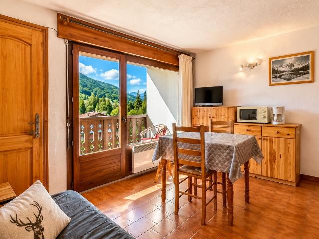 Studio cabine avec accès direct aux pistes 22m² Les Gets