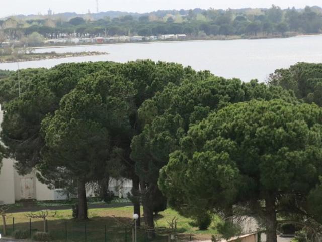 Studio Cabine Port Camargue