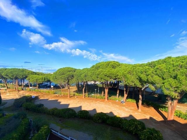 Studio Cabine Vue Port de Plaisance