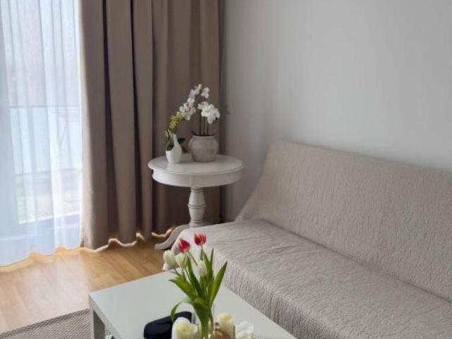 Studio cu nisa, Adora Pipera