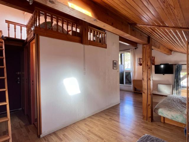 STUDIO mezzanine atypique de + de 24 m²