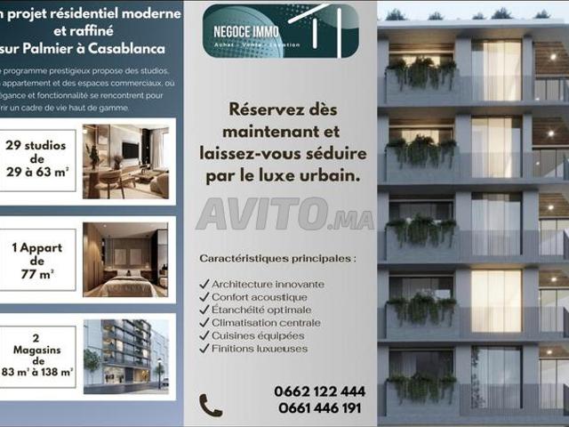 Studio a vendre sur palmier plein bd