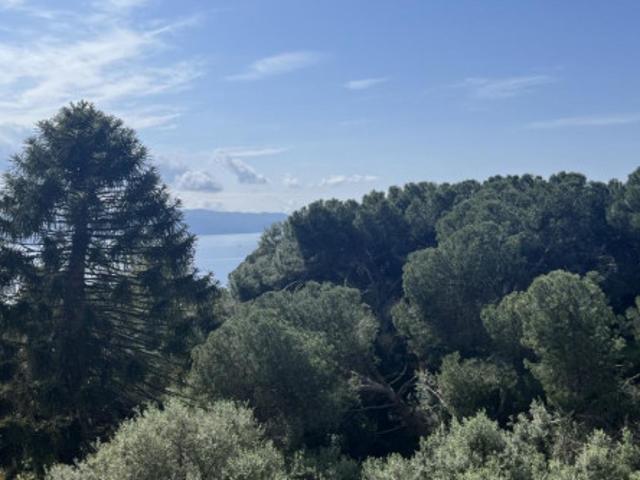 Studio à Ajaccio à louer Locagestion, expert en gestion locative