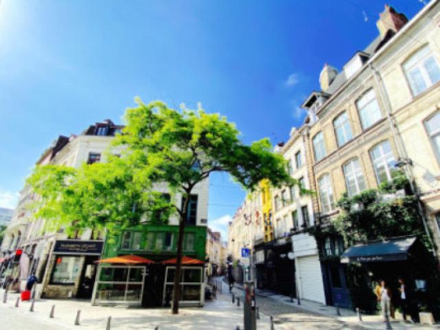 Studio à Lille à louer Locagestion, expert en gestion locative