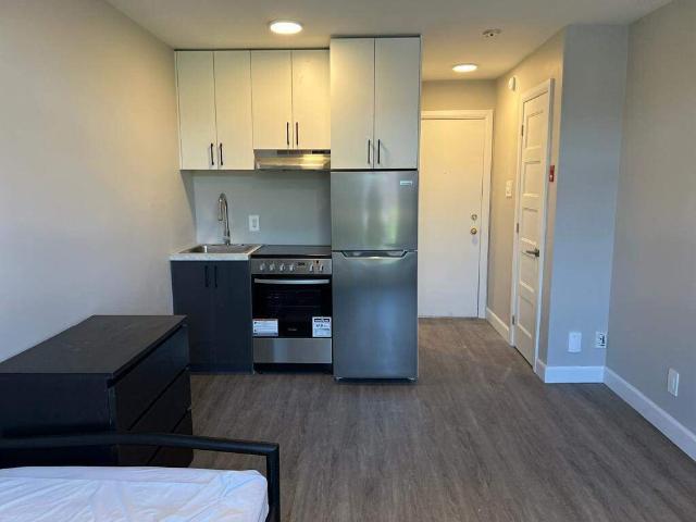 Studio à Louer 4550 Rue Rivard Montréal, Le Plateau Mont Royal Montréal 4 photos | Logis Québec