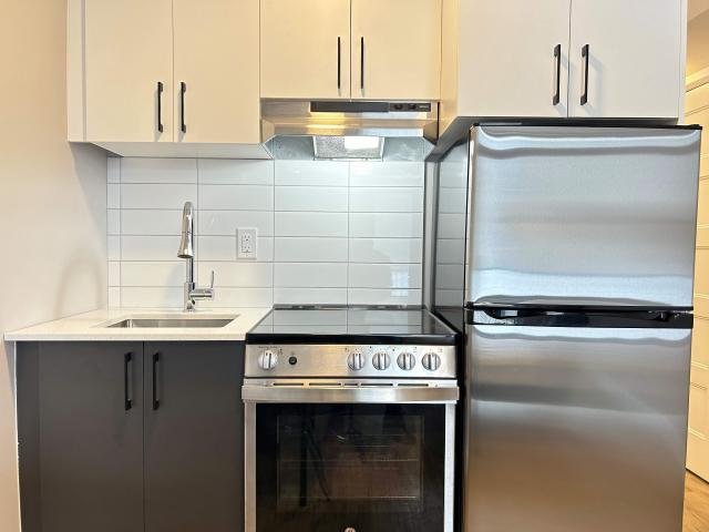 Studio à Louer 4550 Rue Rivard Montréal, Le Plateau Mont Royal Montréal 7 photos | Logis Québec
