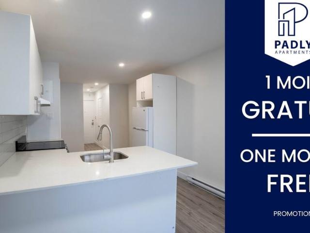 Studio à Louer 4750 rue Ontario Est, Mercier/Hochelaga Maisonneuve Montréal 10 photos | Logis Québec