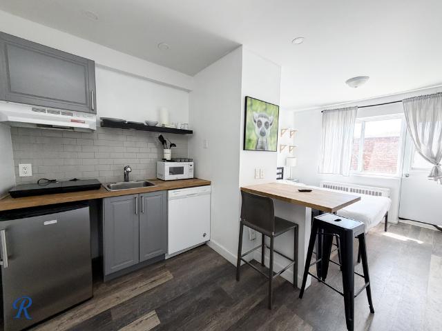 Studio à Louer 56 rue Guilbault Ouest, Le Plateau Mont Royal Montréal 7 photos | Logis Québec