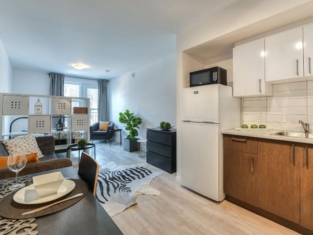 Studio à Louer 6595 Papineau Avenue, Rosemont/La Petite Patrie Montréal 12 photos | Logis Québec