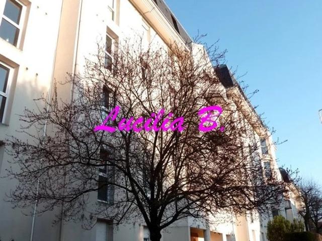 Studio à louer