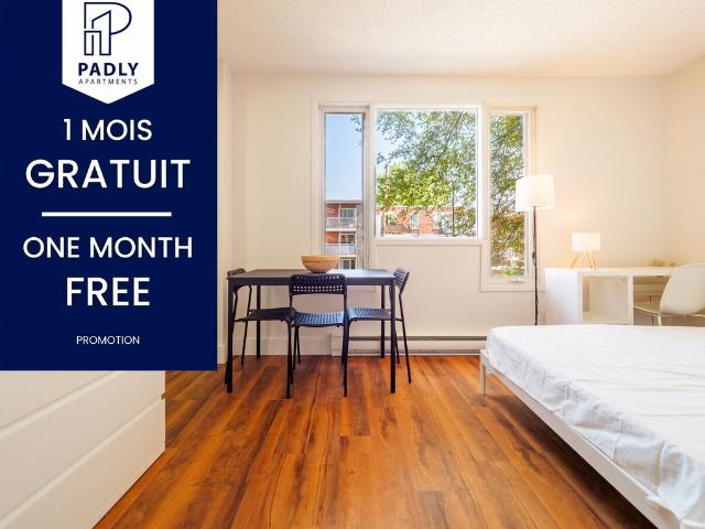 Studio à Louer 3600 rue Sherbrooke Est, Mercier/Hochelaga Maisonneuve Montréal 8 photos | Logis Québec