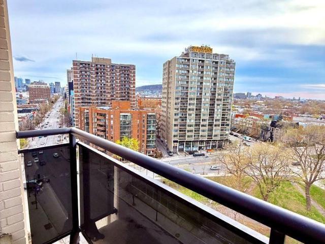 Studio à louer – unique vue sur le parc Lafontaine et Mont Royal | rue Sherbrooke Est, 12e étage
