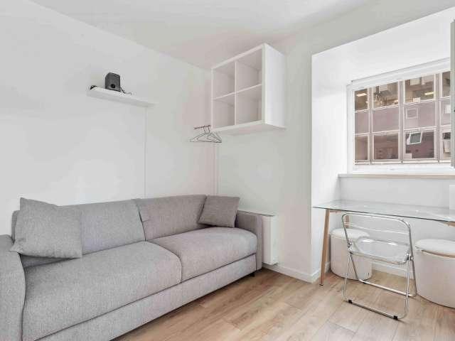 Studio à louer à Émeriau Zola, Paris