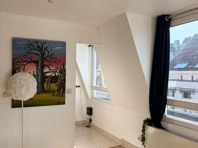 Studio à louer à Ixelles, lumineux et cosy 46