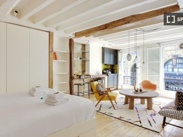 Studio à louer à la Monnaie, Paris