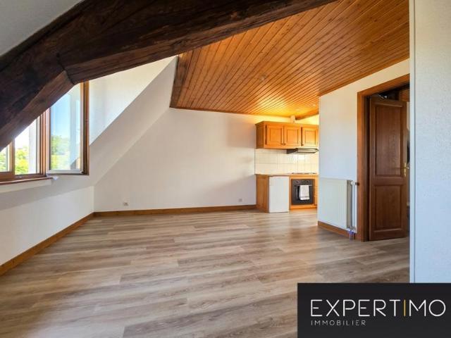 Studio à louer Ensisheim