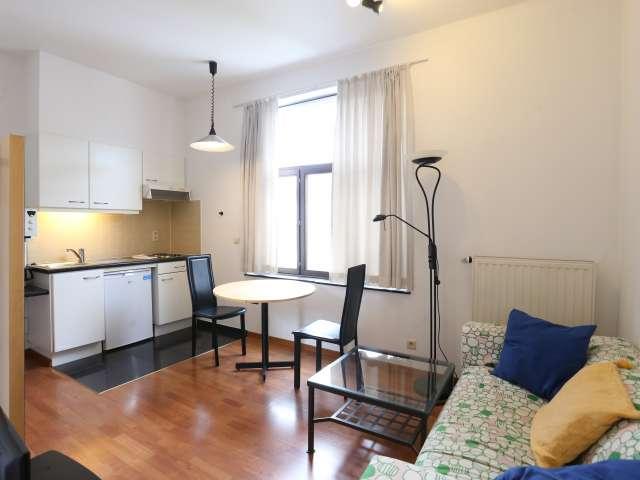 Studio apartment for rent in Ixelles, Brussels