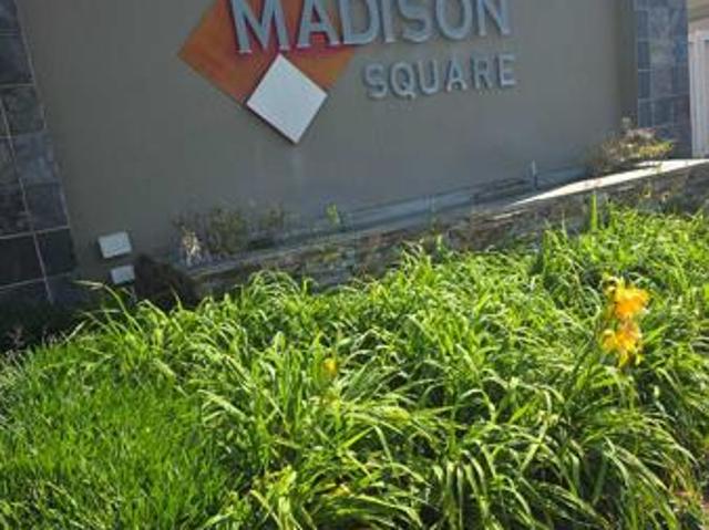 Studio Apartment in Morningside