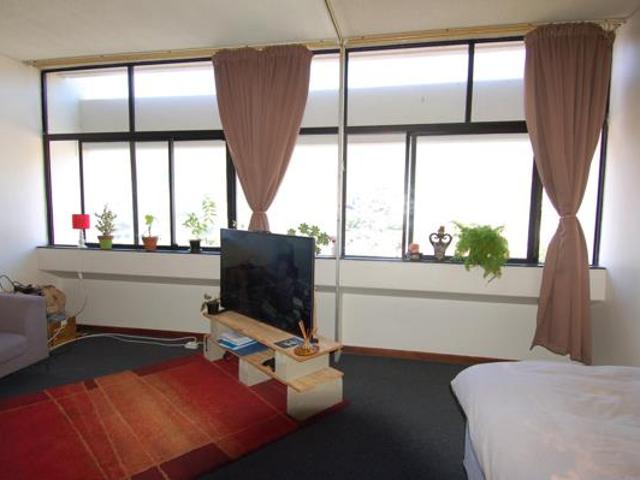 Studio apartment in Oranjezicht