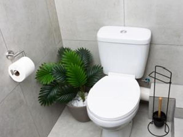 Studio Apartment in Fairland
