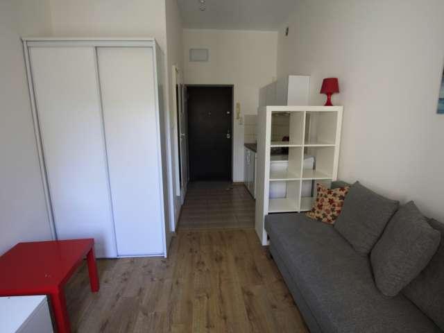 Studio apartment in Lodz