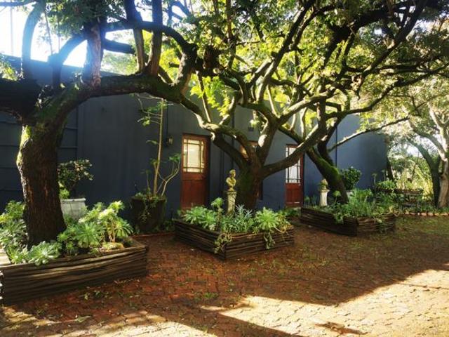 Studio apartment in Wellington Central