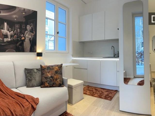 Studio Apartment zu vermieten in Au Haidhausen, München