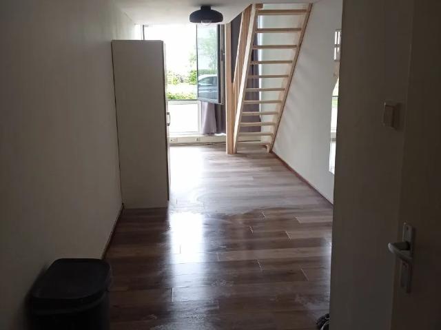 Studio Appartement Surface Area: 44m2