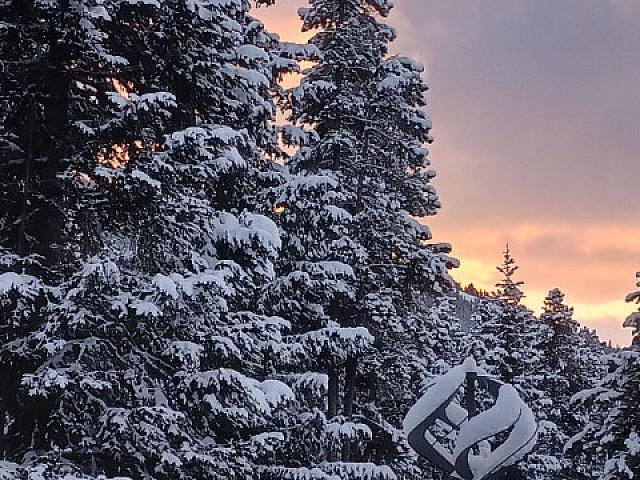 Studio At Amazing Apex Mountain