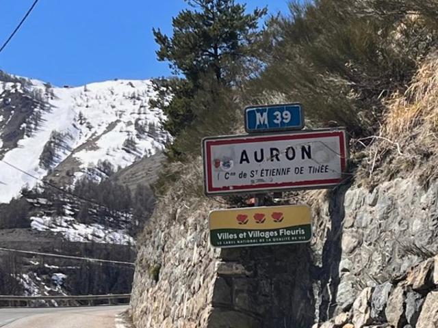 STUDIO AURON