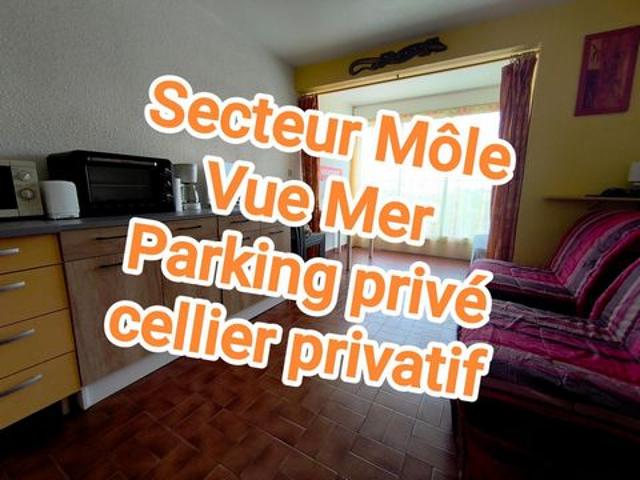 Studio avec Vue Mer Parking et Cellier privatifs