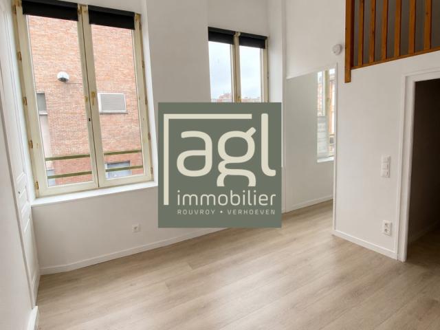 Studio avec couchage en mezzanine