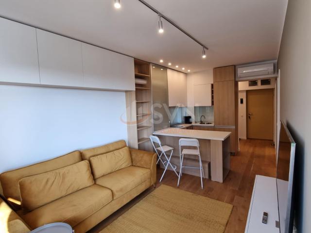Studio Aviatiei Park de inchiriat