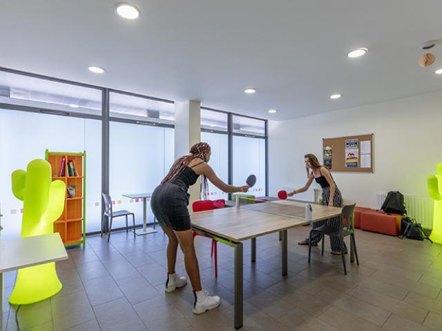 Studio de 18 à 32m² meublé et équipé