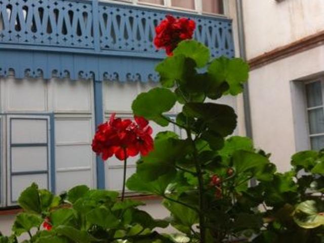 Studio de 18m2 à louer sur Toulouse