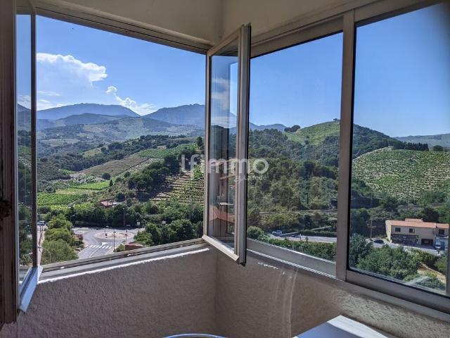 Studio de 24 m2 avec loggia & parking Banyuls s/ Mer