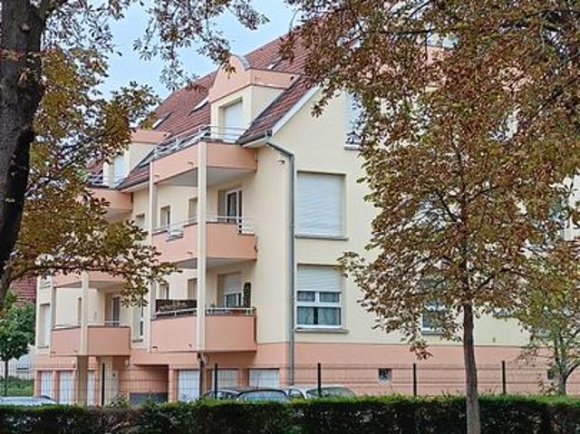 Studio de 24m2 à louer sur Colmar
