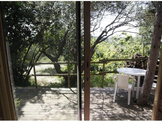 Studio de 24m2 à louer sur Saint Hilaire de Brethmas