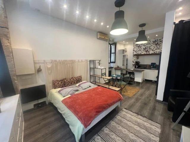 STUDIO DE 28 M2 AUCH CENTRE