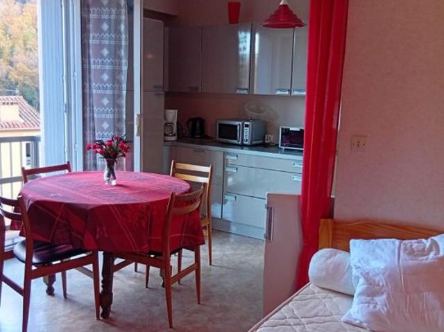 Studio de 33m2 à louer sur Amélie les Bains Palalda