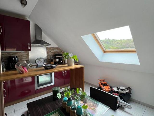 Studio de 40m2 à louer sur Ottange