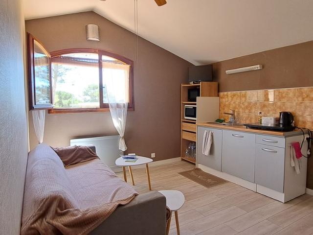 Studio de 45m2 à louer sur Castelnau le Lez