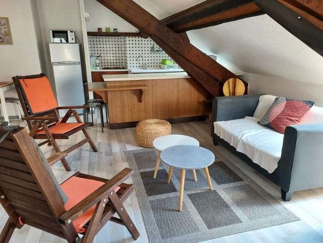 Studio de 46m2 à louer sur Grenoble