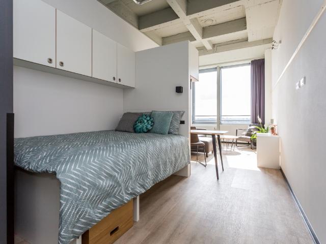 Studio De Lampendriessen 31 1009 5612 AH Eindhoven