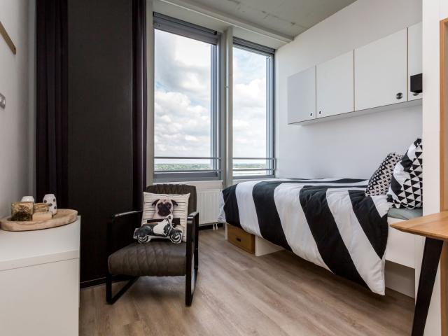 Studio De Lampendriessen 31 763 5612 AH Eindhoven