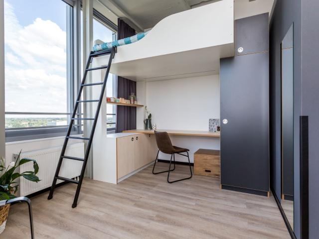 Studio De Lampendriessen 31 943 5612 AH Eindhoven