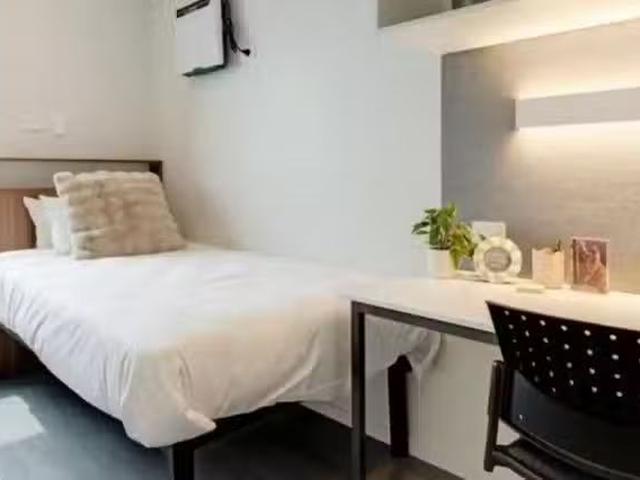 Studio Deluxe