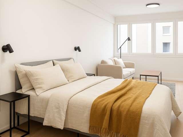 Studio entier à Paris