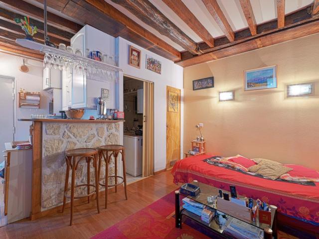Studio en viager occupé Paris 12