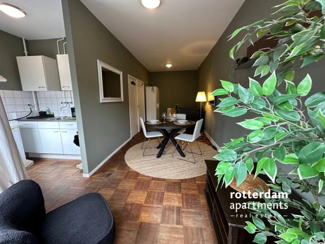 Studio for rent
